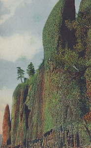 Cape Horn along Columbia River in Washington Divided Back Vintage Post Card