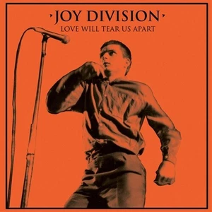 Joy Division - Love Will Tear Us Apart Vinyl RECORD - Picture 1 of 1