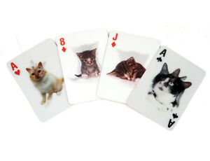 Modern Wide Linen Cats P8 Kittens Running Wild Swap Playing Card