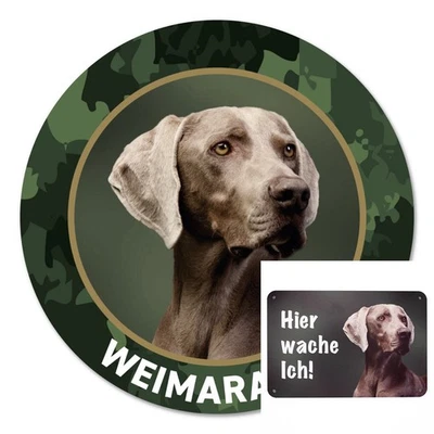 Weimaraner Autoaufkleber Sticker, Zaunschild Hundeschild "Hier wach ich" - Bild 1 von 4
