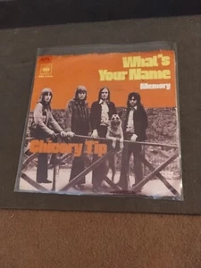 Chicory Tip- Germany CBS With PS "What's Your Name" 1972 EX - Picture 1 of 4