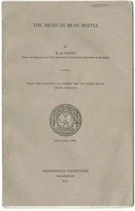 Mexican Bean Beetle, W.H. White, Smithsonian Institution 1941 Entomology booklet - Picture 1 of 9