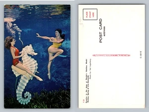 Weeki Wachee, FL-Florida, Underwater Mermaid Show Seahorse Act Vintage Postcard - Picture 1 of 3