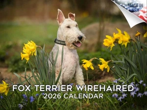 Fox Terrier - Calendario de Raza de Perro de Pelo Alambre 2026 12x18 Hecho en EE. UU. - Imagen 1 de 7