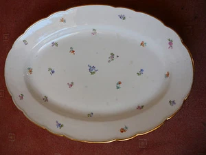 gr. Vorlegeplatte, Teichert - Stadt Meissen - Streublümchen - 44  X  30  X  5,5  - Bild 1 von 5