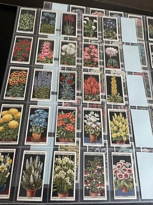 WILLS-FULL SET- FLOWER CULTURE IN POTS (50 CARDS) - VG+ - Image 1 of 4