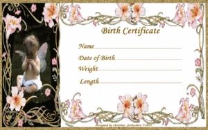 FAIRY & LILIES BIRTH CERTIFICATE/CERTIFICATES REBORN FAKE BABY approx 7x5" - Picture 1 of 1