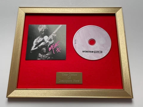 🎶💿⭐️SIGNED/AUTOGRAPHED MACHINE GUN KELLY - MAINSTREAM SELLOUT FRAMED CD🎶💿 ⭐️ Cover