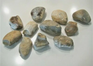 11 Pfund Feuerstein Hornstein für Feuerstein & Stahl Feuerstarter Pfeilklopfen KOSTENLOSER VERSAND - Bild 1 von 8