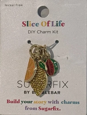 Kit de berloques Slice Of Life DYI (laranja, abacaxi e melancia) sem níquel - Imagem 1 de 2