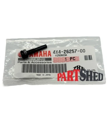 Tornillo tapón acelerador derecho Yamaha OEM PW50 Y-Zinger (1990-2025) Foto 1 de 4