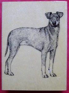 Timbri in gomma Manchester Terrier cane montati su legno galleria nuovi - Foto 1 di 1