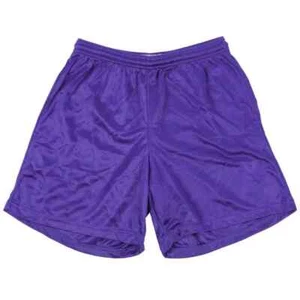 Alleson 580P Adult Nylon Mesh Shorts XL PURPLE BRAND NEW W/ TAGS - Picture 1 of 1