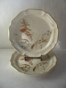 NOS Vintage S/2 Mikasa Country Charm Strawflowers Dinner 10 3/4 Plates 1981-1988 - Picture 1 of 6