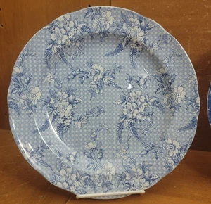 Spode PENNY LANE HONEYWALL LIGHT Dinner plate, 10 1/4", S3735, England New, NWT - Picture 1 of 6