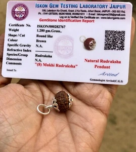 Lab Certified 925 Silver + 8 Mukhi RUDRAKSHA Rudraksh 8 Face Pendant, Original - Picture 1 of 6