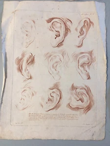 Beautiful Engraving Curiosity Nose Lot Of 4 Eye Mouth Ear Janinet Le Clerc 18th - Picture 1 of 9
