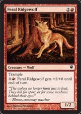 4x 4 x Feral Ridgewolf x4 Innistrad MAGIC LIGHT PLAY MTG