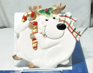 FITZ AND FLOYD ESSENTIALS PLAID CHRISTMAS Reindeer Cookie Plate & Mug - Picture 1 of 7