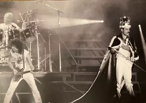 Queen Poster - Fred Mercury Foto A3 Größe Repro aus Originaldateien/Negs - Bild 1 von 2
