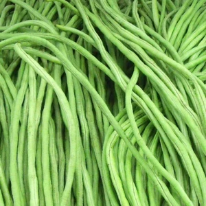 Meterbohne von Üröm - Spargelbohne - Yard long bean 5+ Samen - Seeds H 010 - Bild 1 von 2