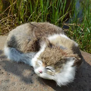 Statuina realistica gatto addormentato peloso simulazione gattino realistico casa offi - Foto 1 di 12