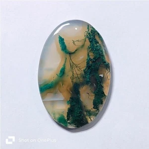 Moss Agate Druzy Natural Moss Agate Cabochon Loose Gemstone 72 Cts ME-9295 - Picture 1 of 3