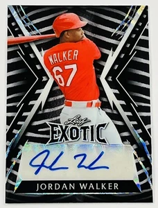 Jordan Walker 2023 Leaf Exotic Zebra Auto #2/7 - Picture 1 of 2
