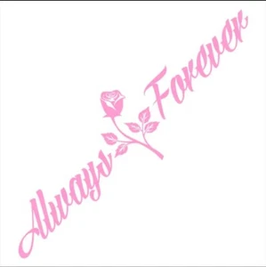 Always And Forever Car Stickers JDM Windshield Banner Motivation 24cm X 90cm - Foto 1 di 1