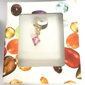 Birthstone Clip-on Charm Dangle w/ Lobster Claw Clasp for Bracelet Necklace Pink - Picture 1 of 1