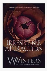 Irresistible Attraction Taschenbuch b178 - Bild 1 von 4
