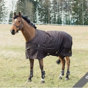 HORZE Crescendo Holbrook Medium Turnout Blanket 250gm - Dark Brown - Picture 1 of 4