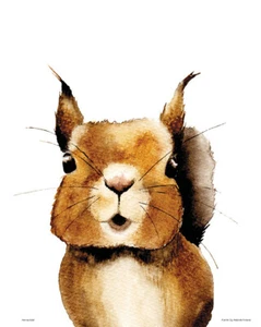Henna Adel Poster 24 x 30 cm Squirrel - Picture 1 of 1