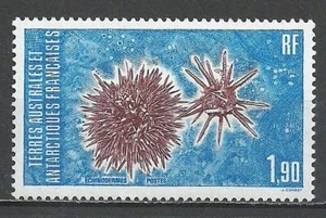TAAF 1986 Echinoderms. Full Set MNH - Picture 1 of 1