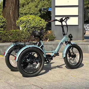 FAFREES 500W Elektro Dreirad 3 Räder Fahrrad 20 Zoll Cargo Trike E-Bike Tricycle - Bild 1 von 19