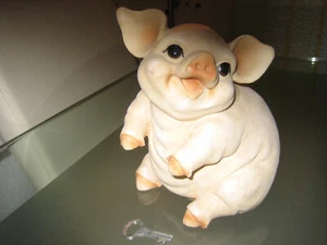 Formano lustiges Sparschweinchen für Kinder - Bild 1 von 2