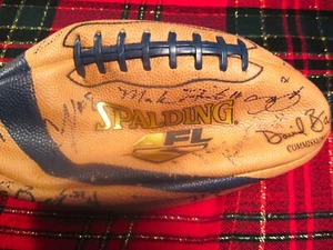SPALDING 2004 AFL ARENA FOOTBALL , NEEDS BLADDER, OFFICIAL SZ, SIGNED, SABERCATS - Picture 1 of 3
