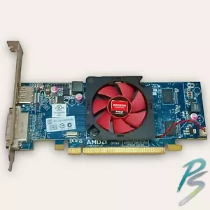 Scheda grafica Dell AMD Radeon HD 6450 1 GB DDR3 PCIe DisplayPort DVI-I 03173K - Foto 1 di 2
