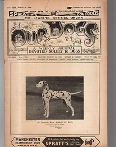 1939 le Nostre Cani Marzo 10 di Dalmata Bolle Di Betulla - Picture 1 of 1