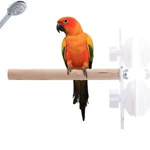 Bird Wood Shower Perch, Bird Stand Perch, Parrot Perch with Suction Cup for H... - Picture 1 of 6