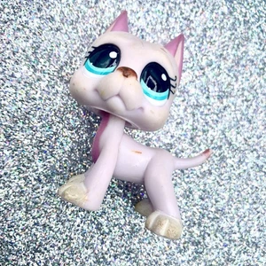 Hasbro LPS Littlest Pet Shop cane principale cinque 5 Great Dane rosa #1022 - Foto 1 di 5