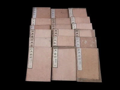 Antiguo conjunto de 18 grabados en madera de libros de texto japoneses de budismo KANJI #12 Foto 1 de 4