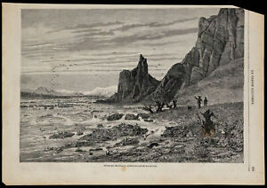 1869 - Enten Dos-De-Toile - Gravur Antik - Jagd Und Pfirsich