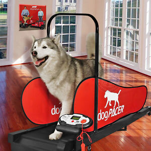 dogPACER Dog Treadmill Folds Portable Small Med Large Dogs 1-179 lbs NEW