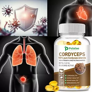 Cordyceps Sinensis 1000mg - Heart & Respiratory Health, Energy & immune Support - Picture 1 of 13