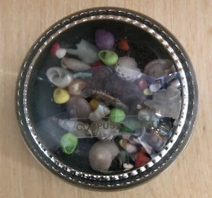 Vintage Souvenir Muschel Fronleichnam Kuppelform Briefbeschwerer  - Bild 1 von 6