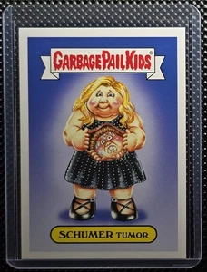 2016 Müll Eimer Kinder Comedy TV Serie Schumer Tumor 5b - Bild 1 von 2