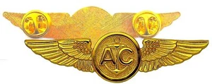 USN Aircrew Wings Badge Pin USMC Marine Coast Guard vergoldet US Navy Air Crew - Bild 1 von 3