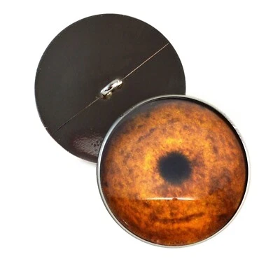 Par de joyas arte taxidermia ojos de vidrio cosidos media esfera inspirada en guepardos Foto 1 de 4