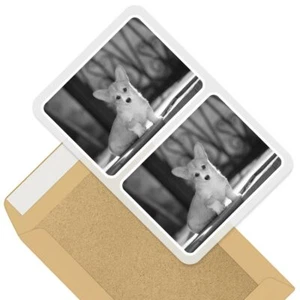 2 x rechteckige Aufkleber 7,5 cm BW - entzückender Corgi Welpe Hund Tiere Haustiere #41316 - Bild 1 von 9